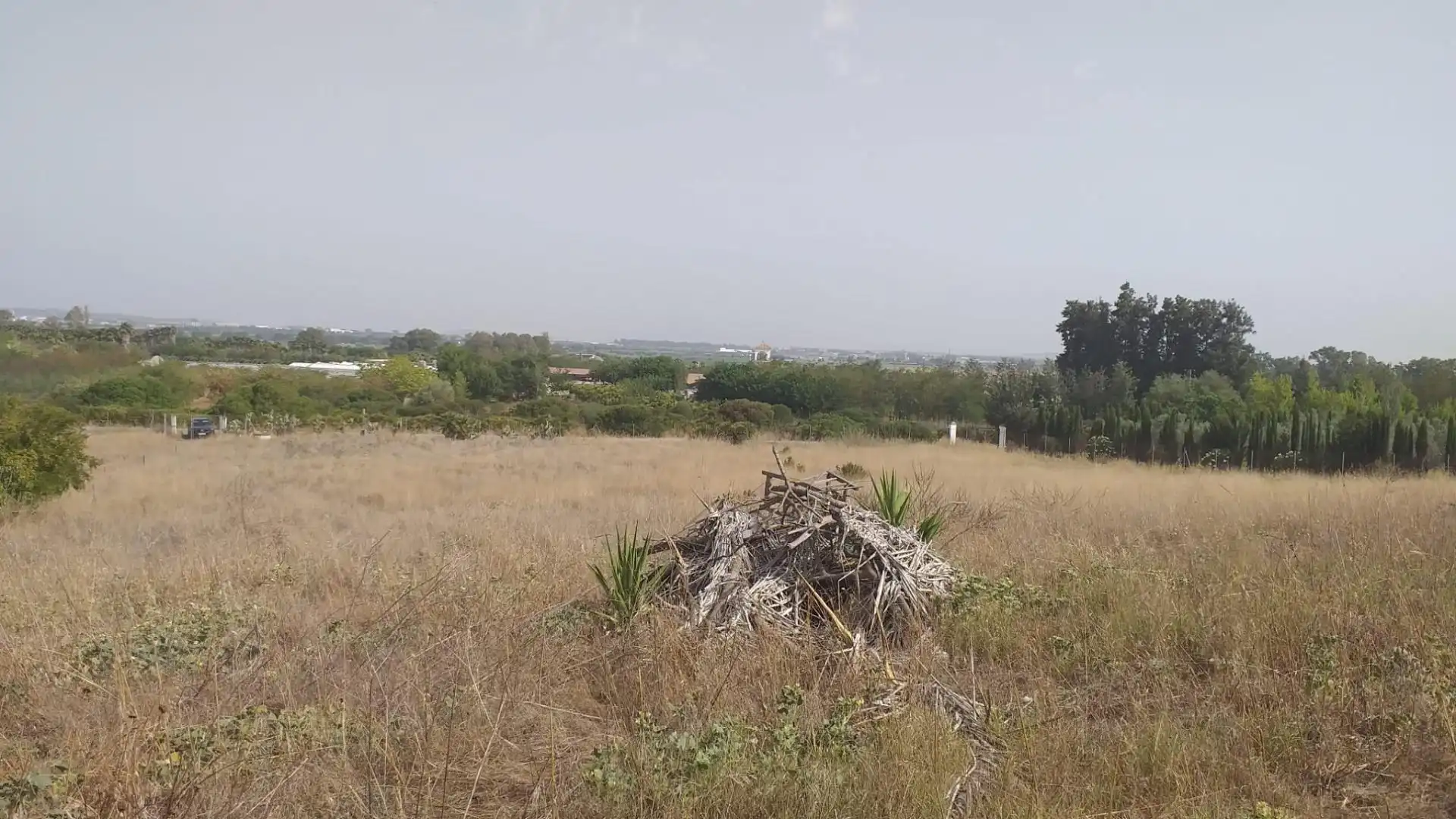 Rural land for sale in El Rocío - La Milagrosa, imagen 3