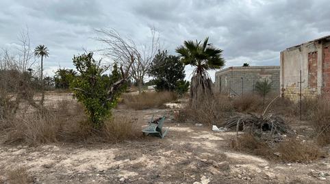 Foto 3 de Finca rústica en venta en Algorós - El Derramador, Elche / Elx