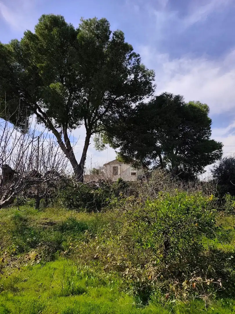 Chalet con terraza en venta en Camino Hondo, imagen 20