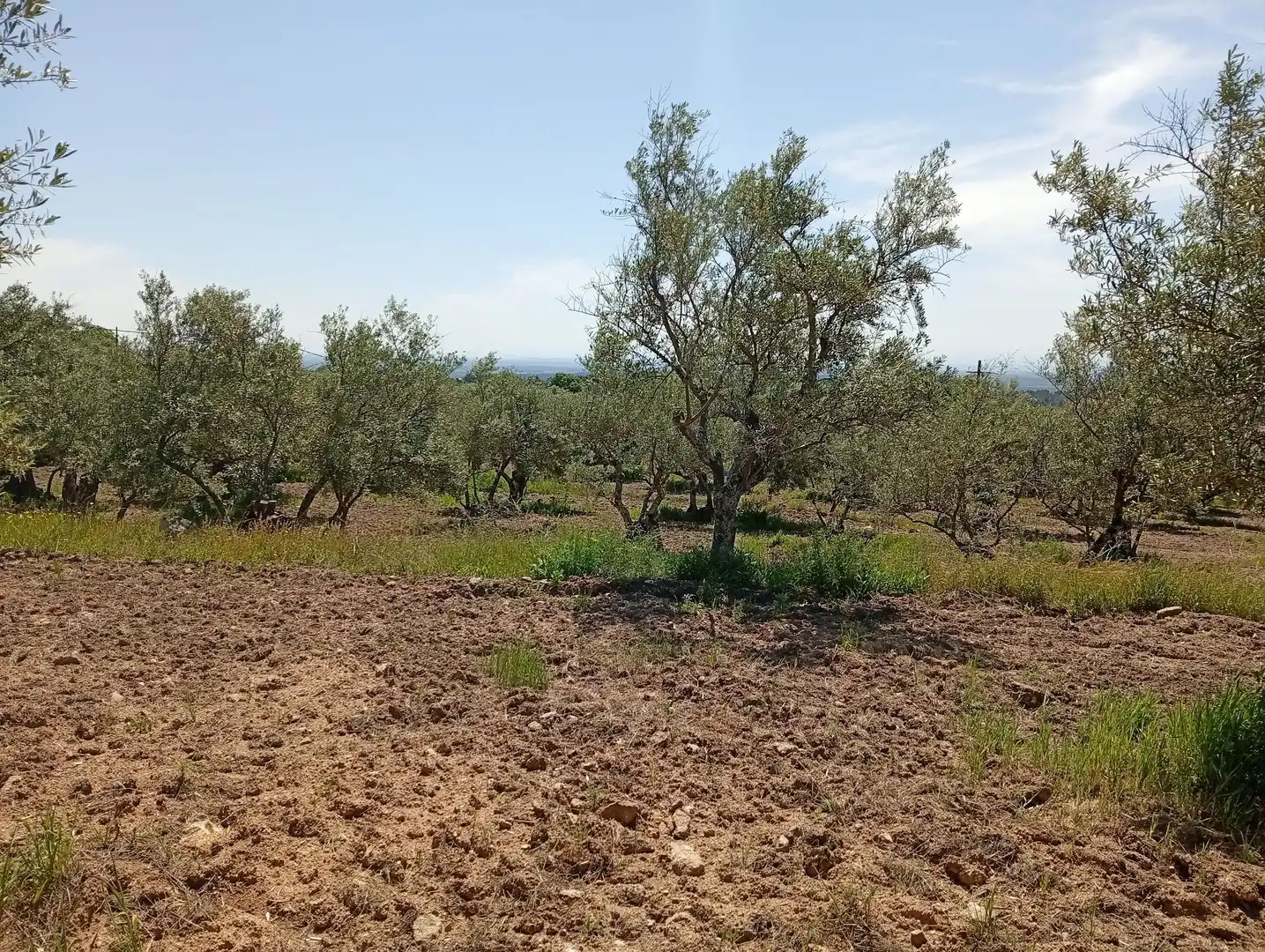 Terreni e lotti in vendita a Villanueva de la Vera, imagen 20