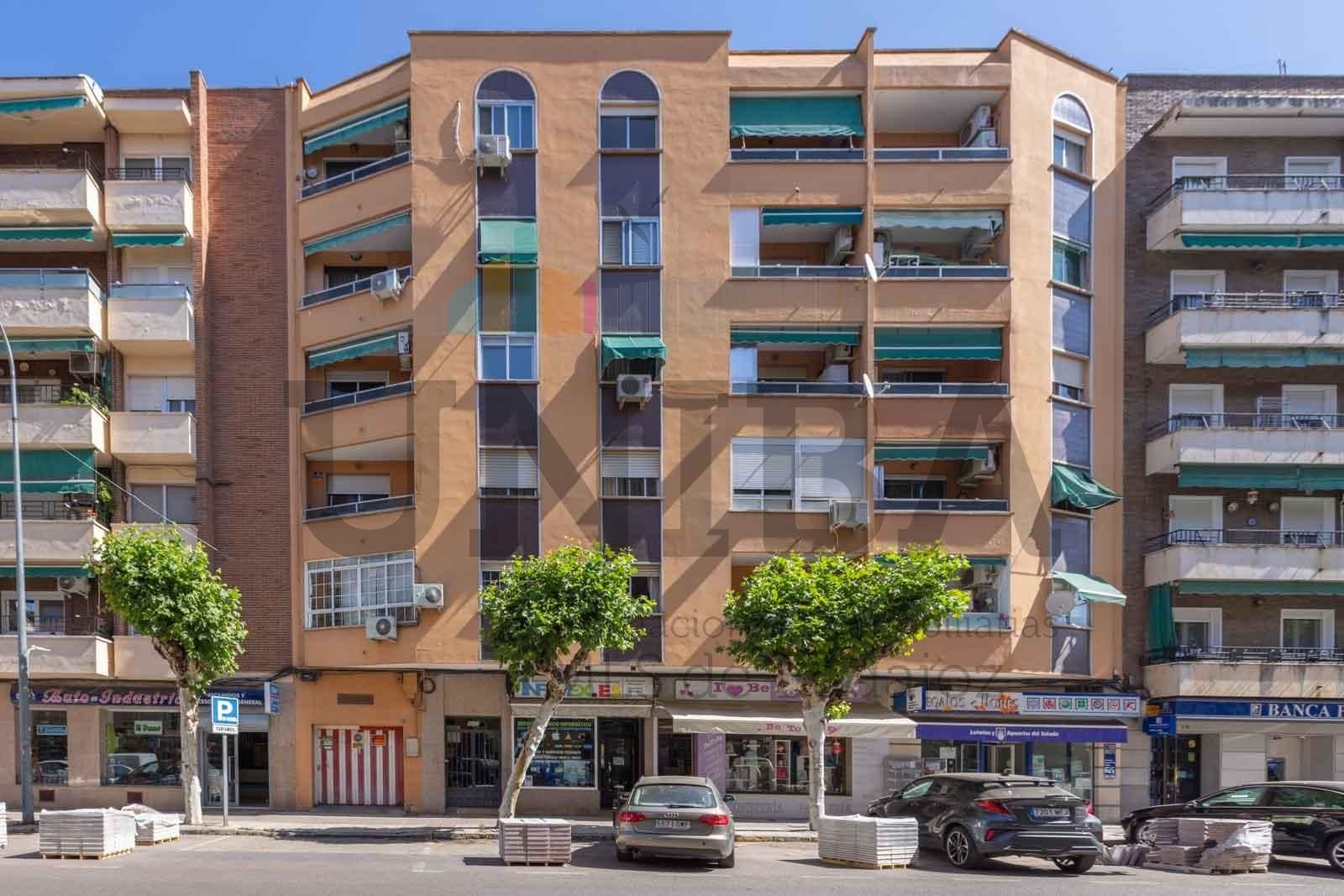 Piso de alquiler en Avenida RICARDO CARAPETO ZAMBRANO, San Roque - Ronda Norte