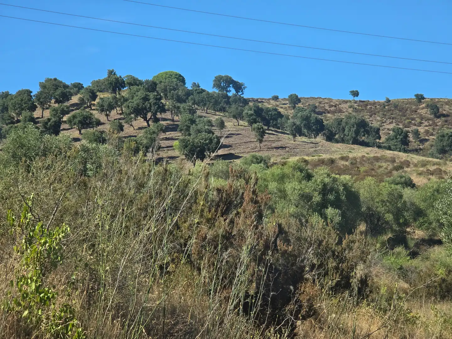Terreno en venta en Vilajuïga
