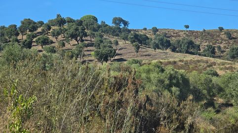 Foto 5 de Terreny en venda a Vilajuïga, Girona