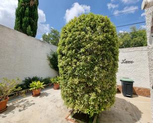 Garden of Single-family semi-detached for sale in Chiva  with Air Conditioner and Terrace