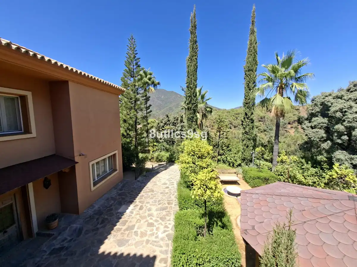 Vista exterior de Finca rústica en venta en Istán, Málaga