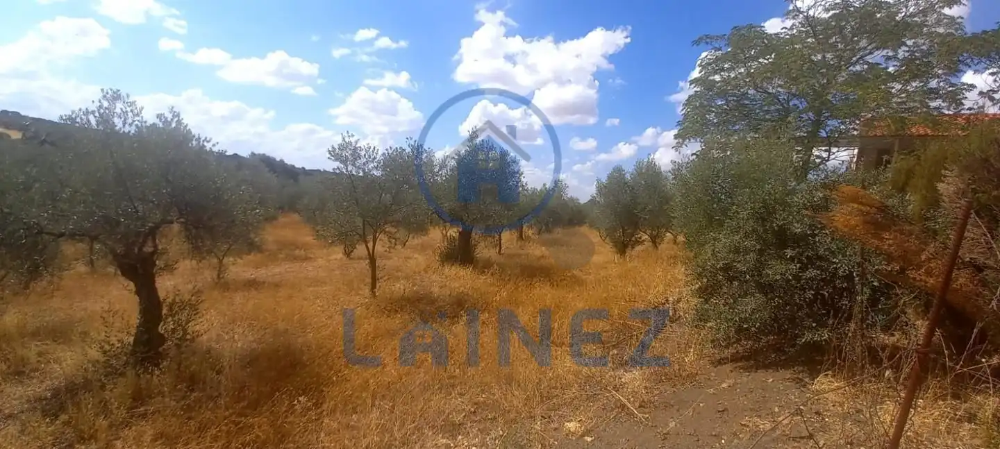 Wohnbaugrundstück zum Verkauf in La Granjuela, imagen 7