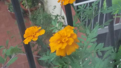 Foto 5 de Apartament per a compartir a La Teixonera, Barcelona