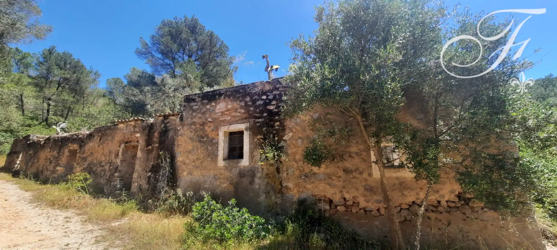 Terreny rústic en venda a Sant Jordi de Ses Salines-Sant Francesc, imagen 2