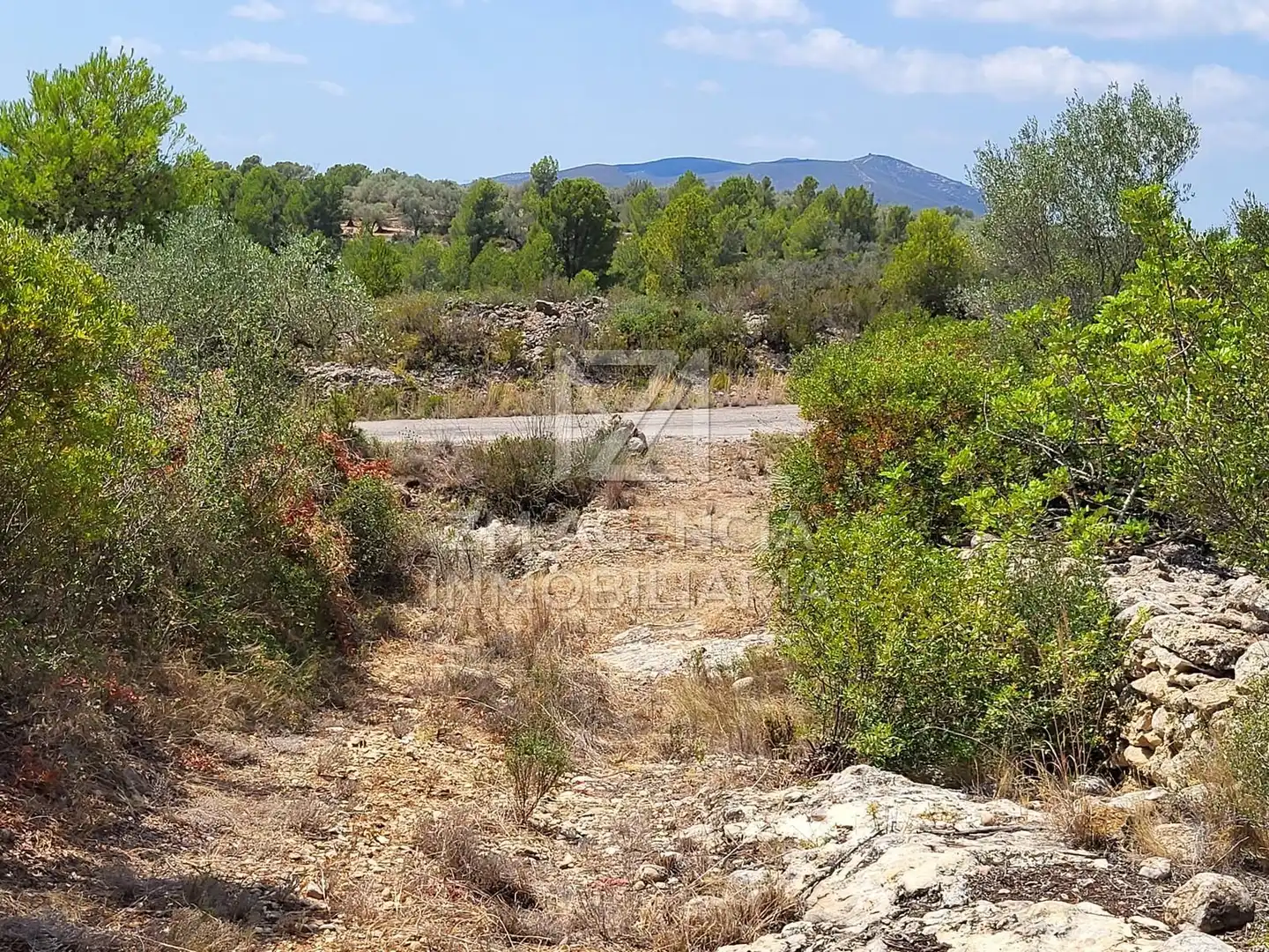 Terreno rustico in vendita a Traiguera