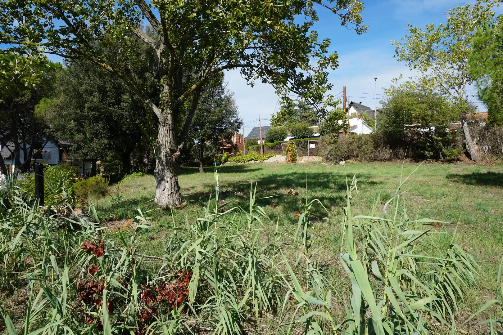 Residential land for sale in Carrer Tres Pins, imagen 6