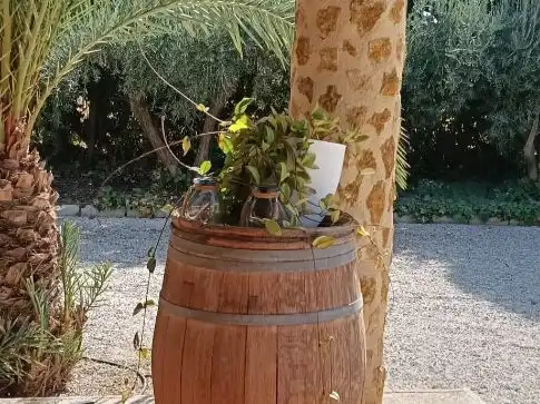 Haus oder Chalet zur Miete in Agost, Alicante