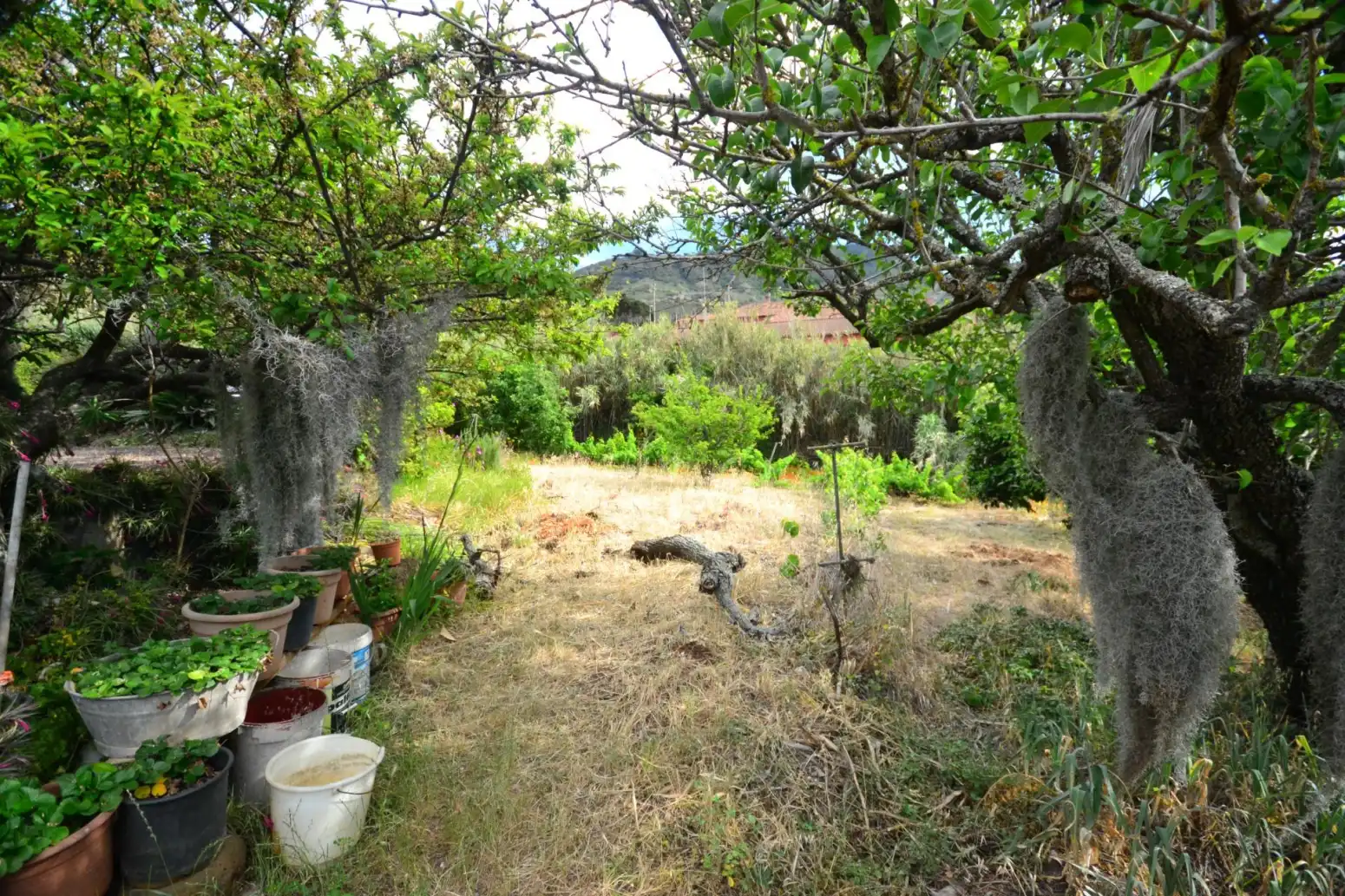 Casa in vendita a Tegueste - Calle TEJAR, imagen 9