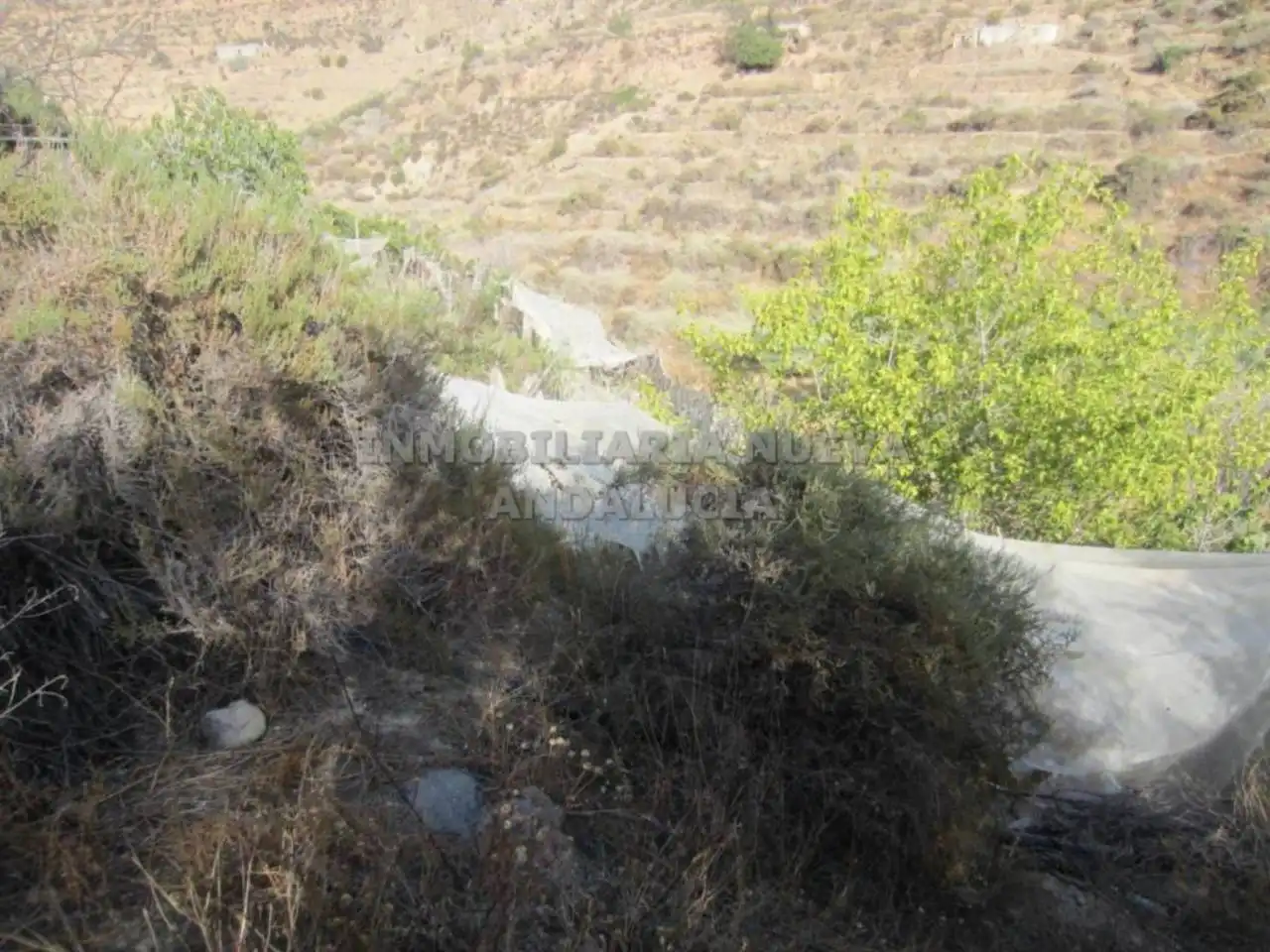 Terreny rústic en venda a Canjáyar, imagen 3