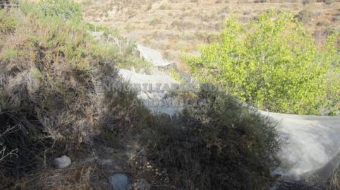 Finca rustica en venta en Canjáyar, immagine 3