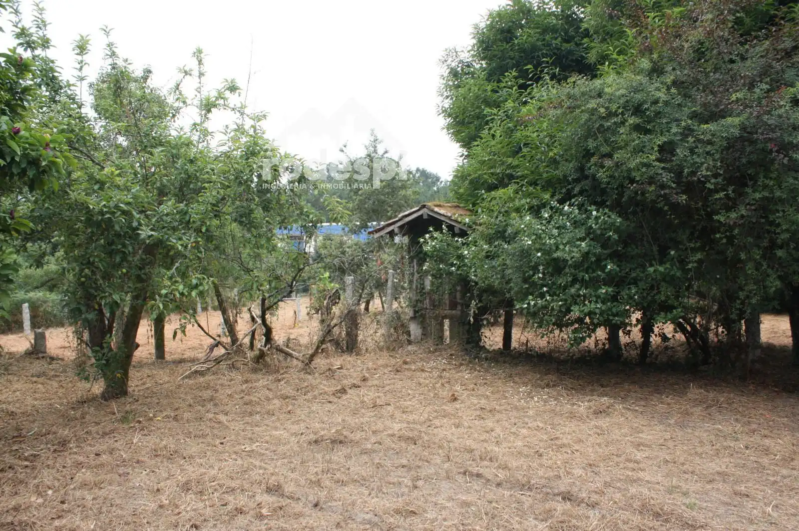 House for sale in Salvaterra de Miño, imagen 10