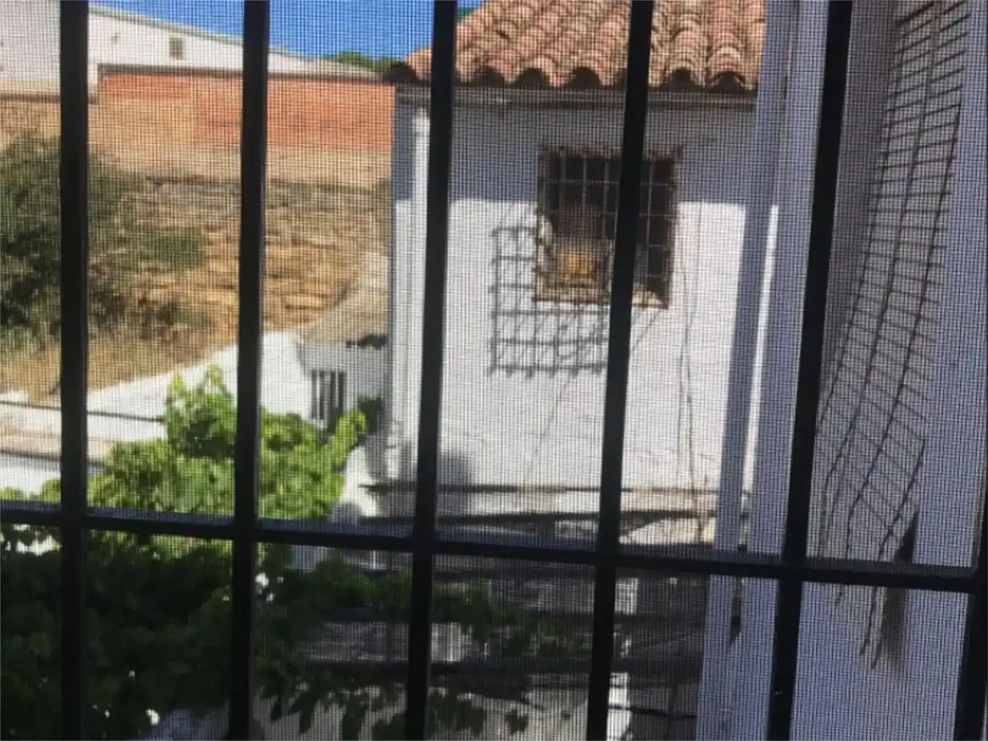Vista exterior de Casa adosada en venda en Rus amb Balcó