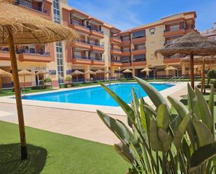 Swimming pool of Flat to rent in Torrox  with Terrace and Swimming Pool