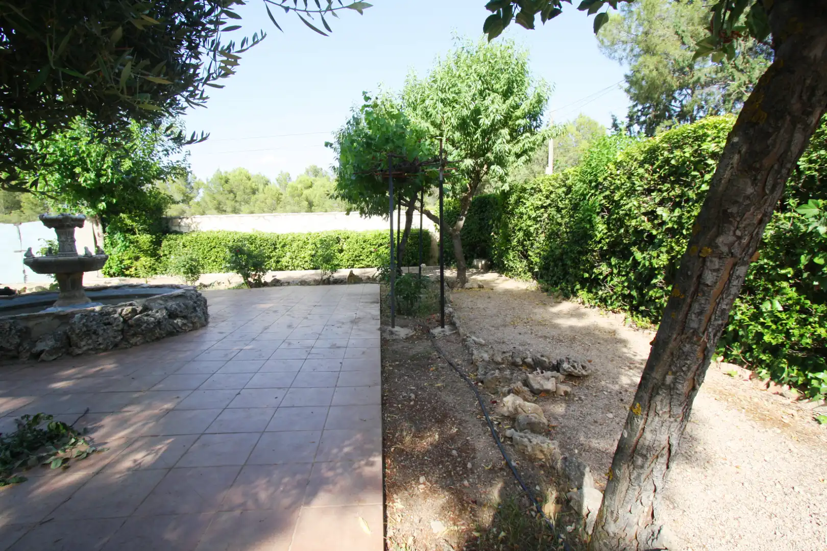 Jardí de Casa o xalet en venda en Albacete amb Aire condicionat, Jardí privat i Terrassa