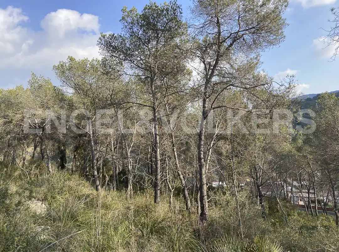 Terreno residencial en venta en Canyelles, imagen 13