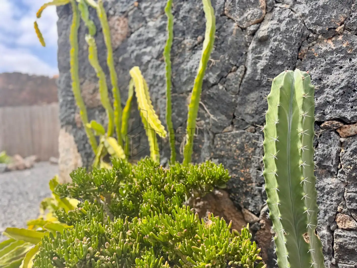 Casa con jardín en venta en Del Morro, imagen 62