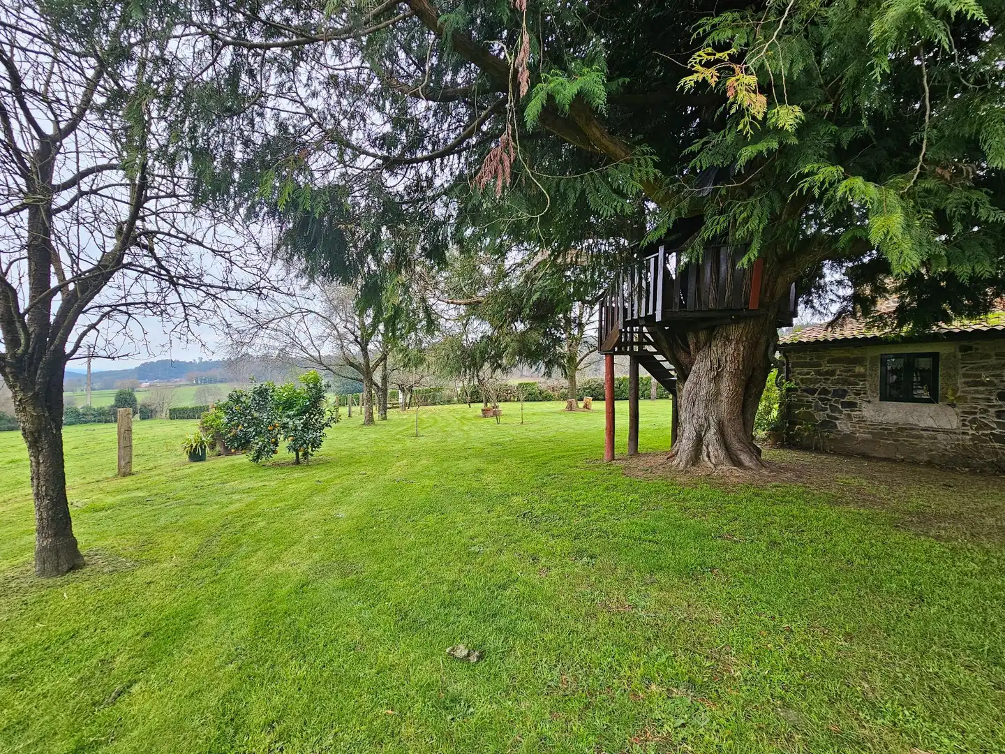 Jardín de Casa o chalet en venta en Melide con Calefacción, Jardín privado y Terraza