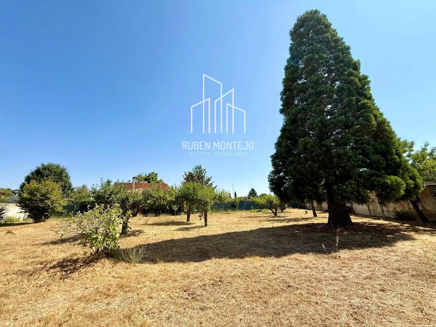 Rural land for sale in Cañaveral, imagen 21