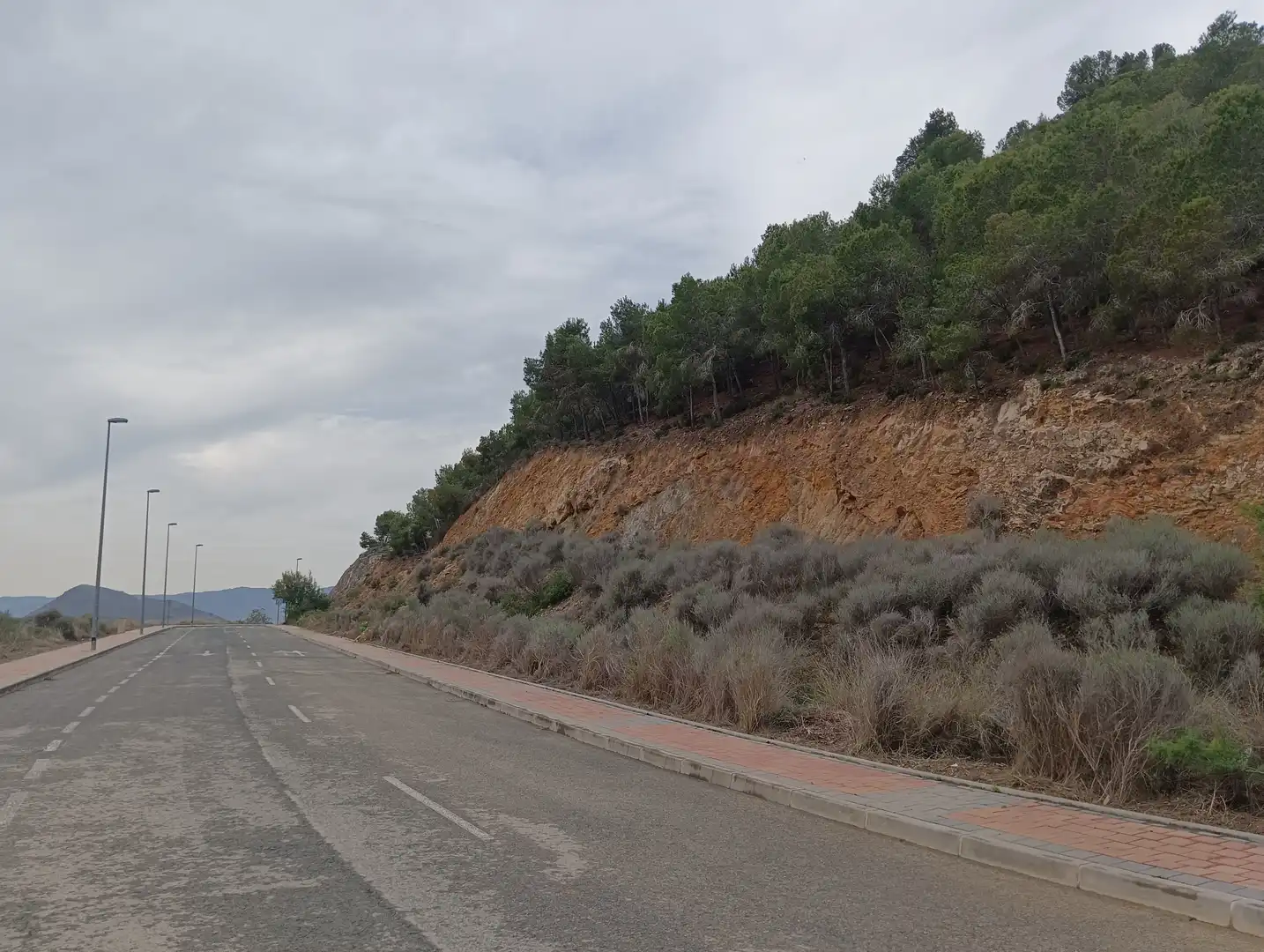 Terreny rústic en venda a PL B, Plan parcial Los Cantalares TM-361 Eg4-2, imagen 6