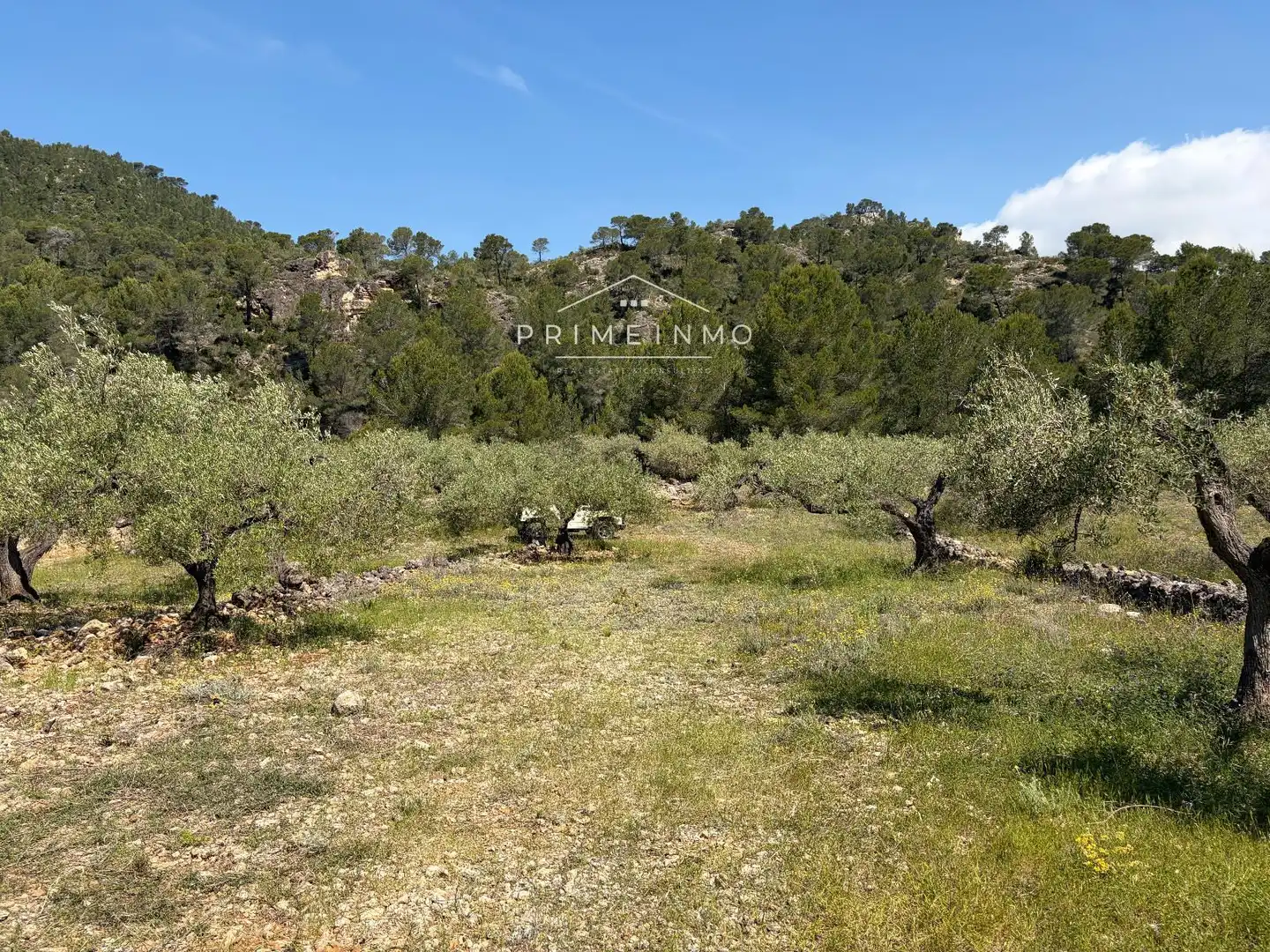 Terreno rústico en venta en L'Ametlla de Mar pueblo, imagen 12