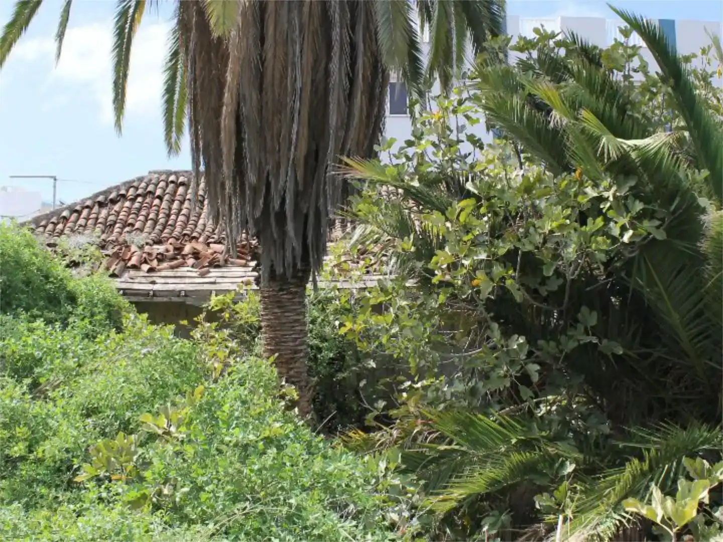 Jardín de Casa o chalet en venta en La Orotava