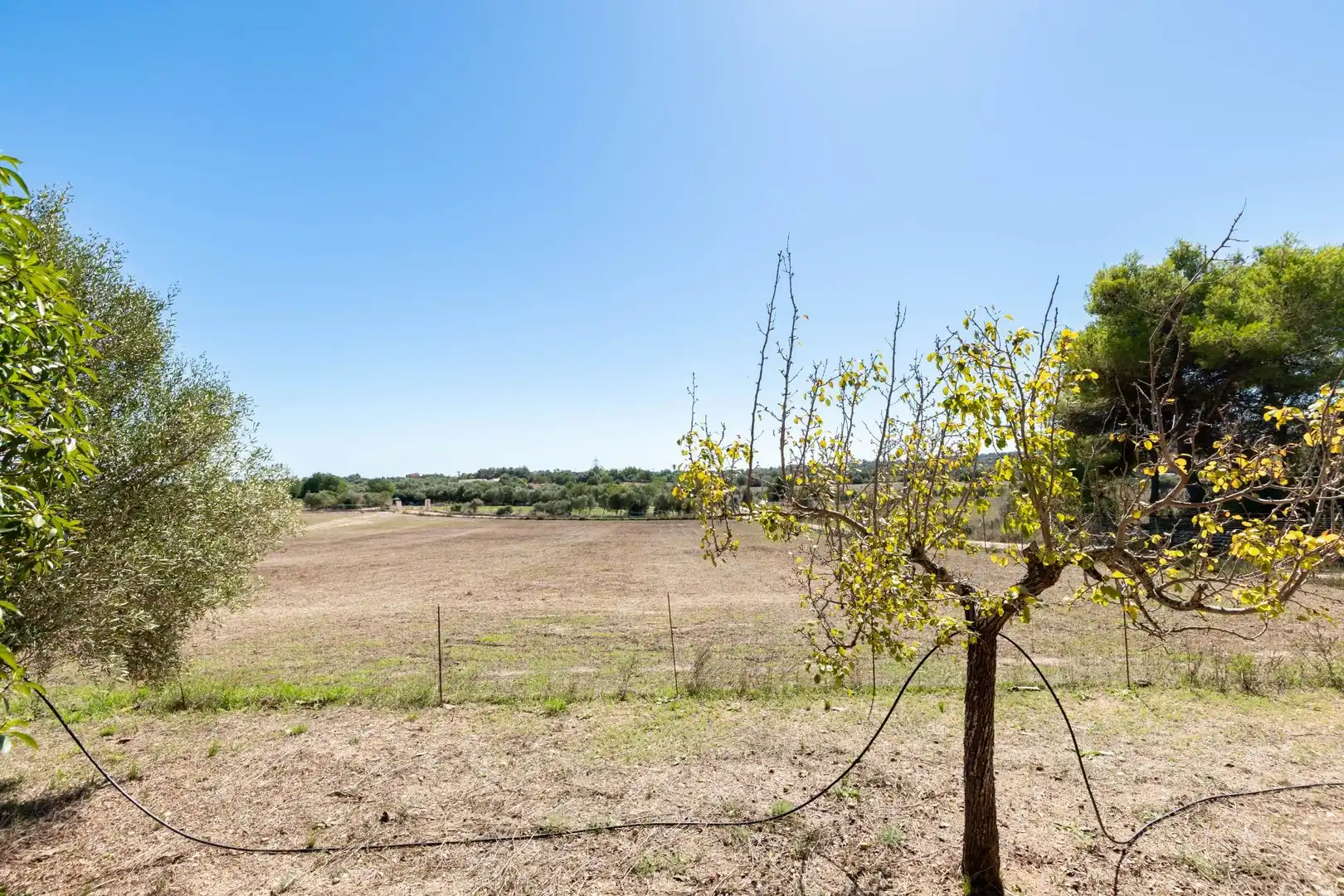 Casa amb jardí en venda a Sant Llorenç des Cardassar, imagen 53