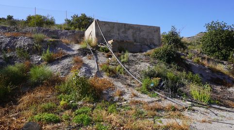 Finca rústica con cortijo, almacén y agua a dos kilómetros de Los Tablones, imatge 5