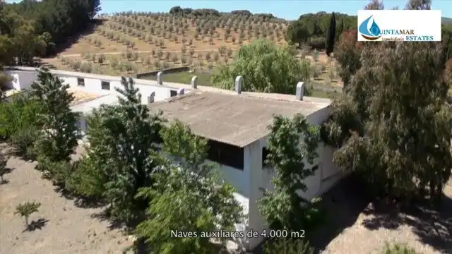 Maison avec piscine à vendre à Salinas., imagen 35
