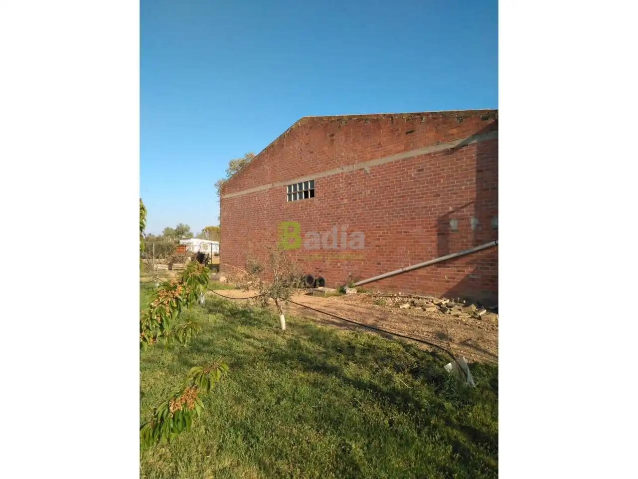 Vista exterior de Finca rústica en venta en Alcarràs