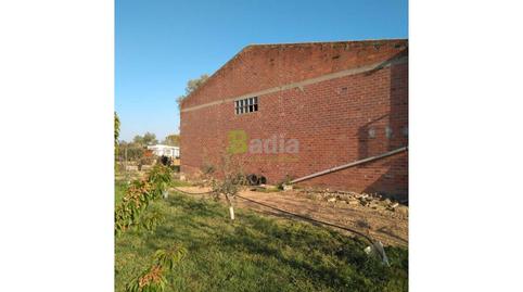 Foto 3 de Finca rústica en venda a Alcarràs, Alcarràs, Lleida