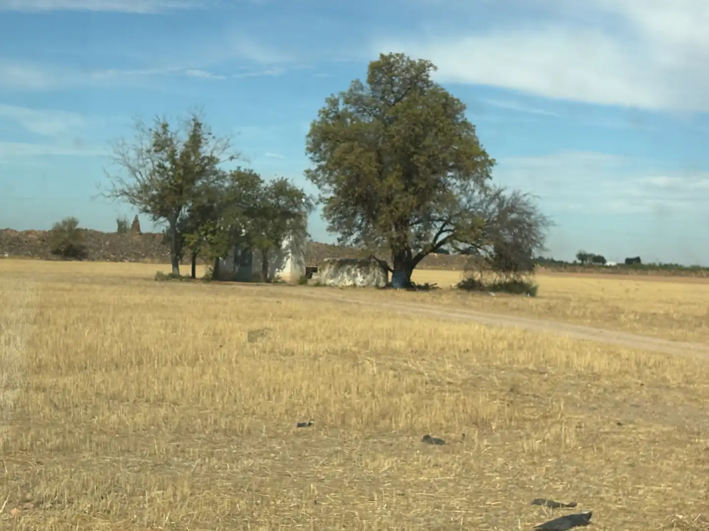 Rural land for sale in CM-400 580, imagen 27