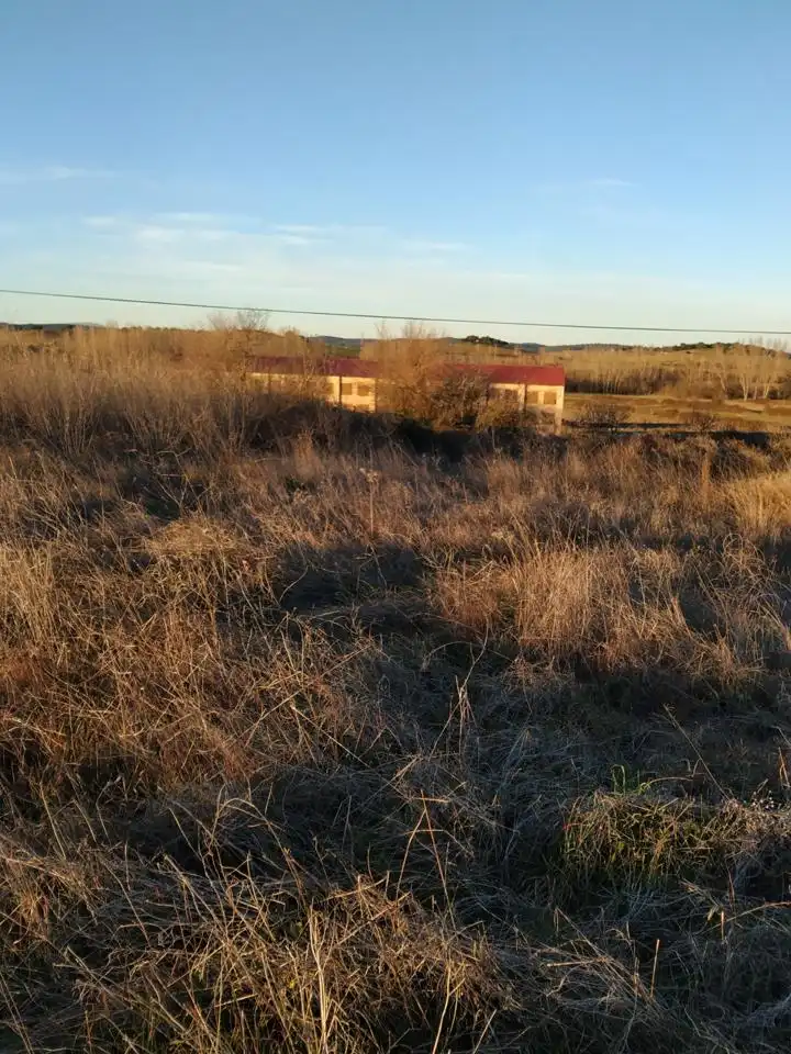 Terreni e lotti in vendita a De Plasencia, imagen 2