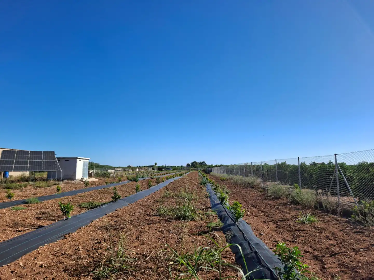Terreny residencial en venda a Pego, imagen 15
