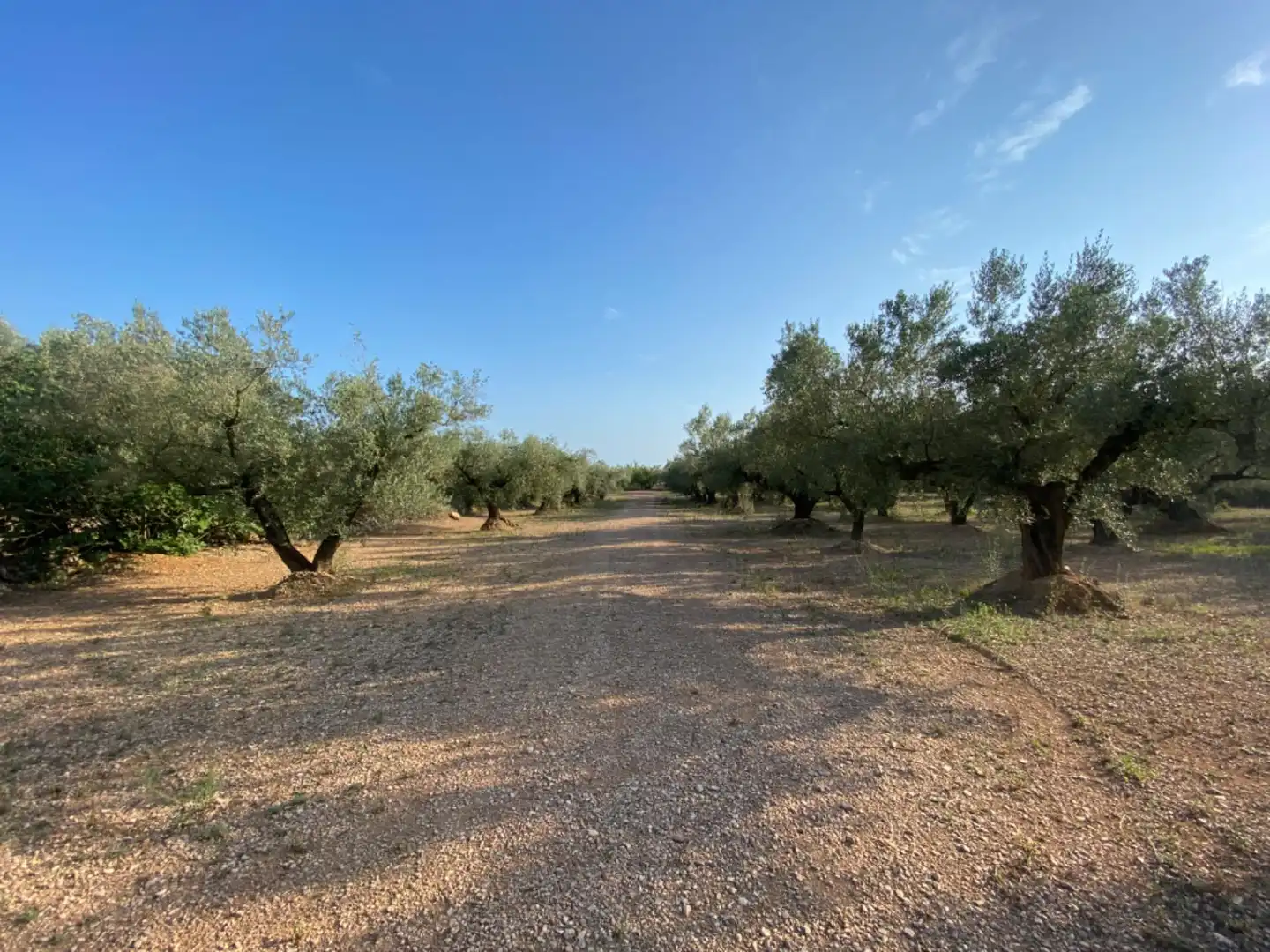 Casa rústica con piscina en venta en Ulldecona, imagen 18