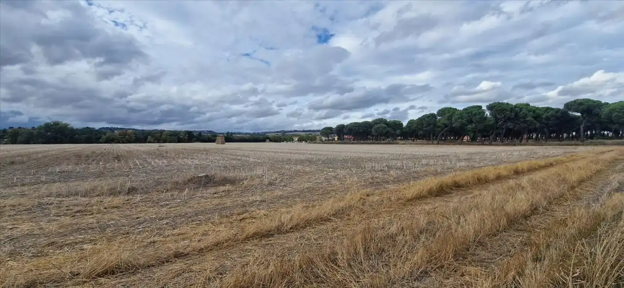 Terreno residencial en venta en DUERO BAJO, imagen 10