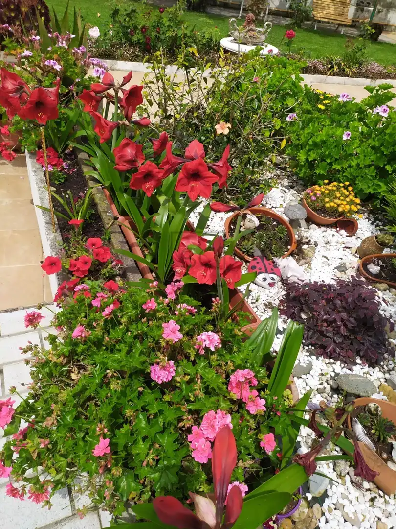 Jardí de Casa o xalet en venda en Neda amb Calefacció, Jardí privat i Traster