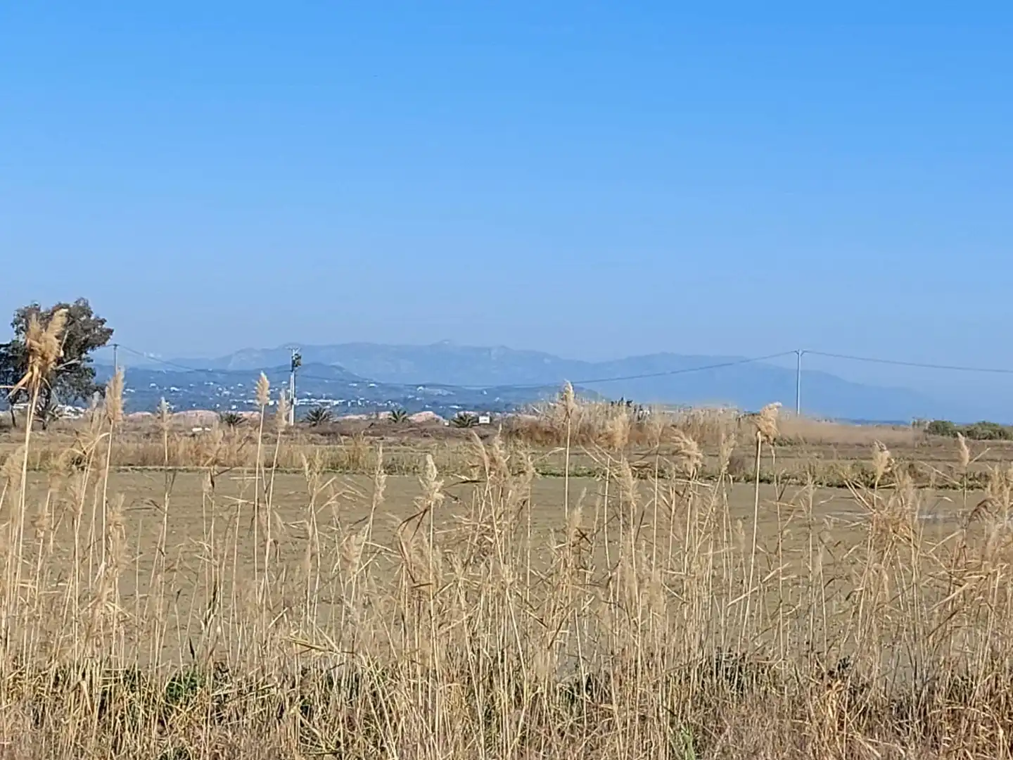 Finca rústica en venta en L'Ampolla
