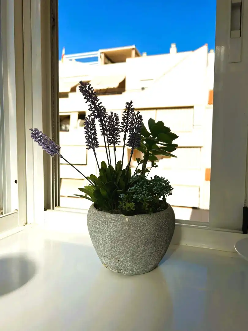 Penthouse with terrace for sale in Estepona Pueblo, imagen 12