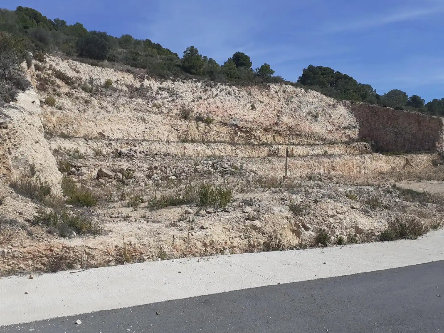 Lands and plots for sale in Roda de Barà, imagen 16