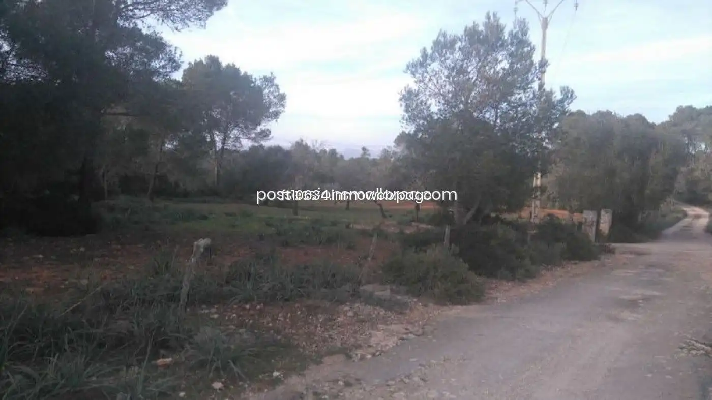 Terreno rustico in vendita a Algaida, imagen 34