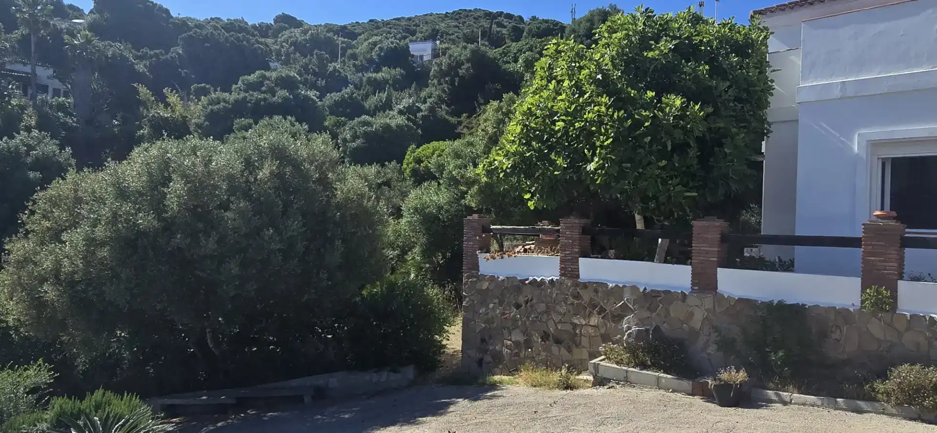 Houses for rent in San García