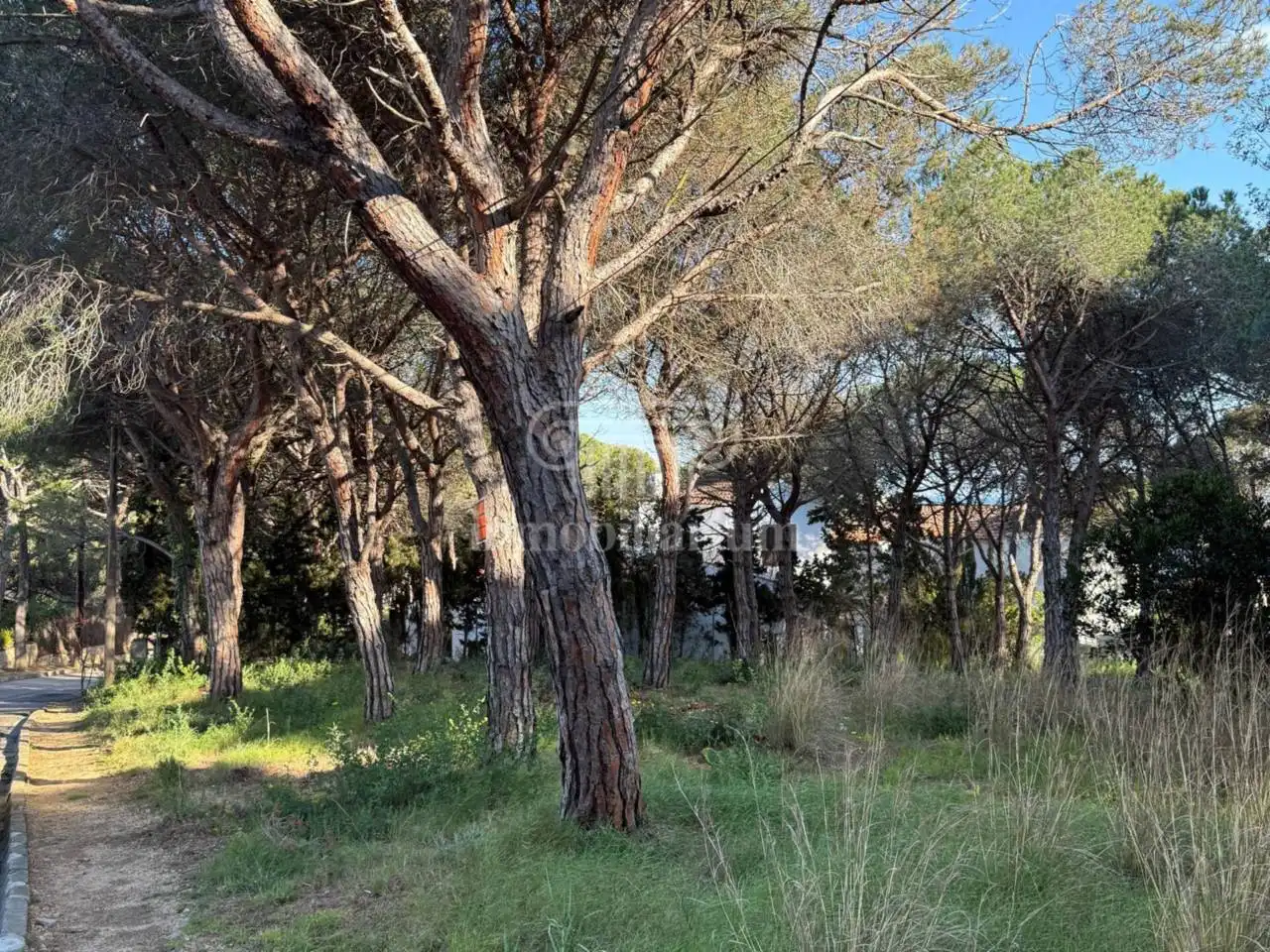 Terreny rústic en venda a Cala d´en Simon, imagen 4