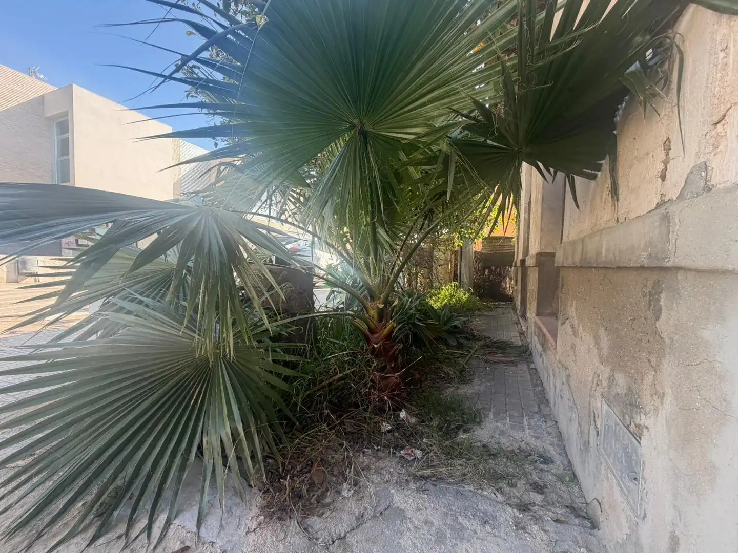 Finca rústica en venta en Almoradí con Trastero
