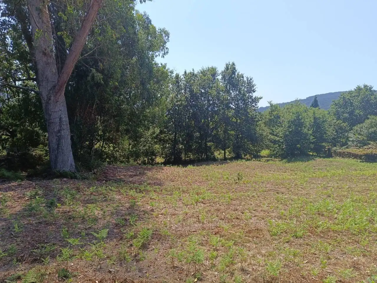 Lands and plots for sale in Calle Cabadas, imagen 13