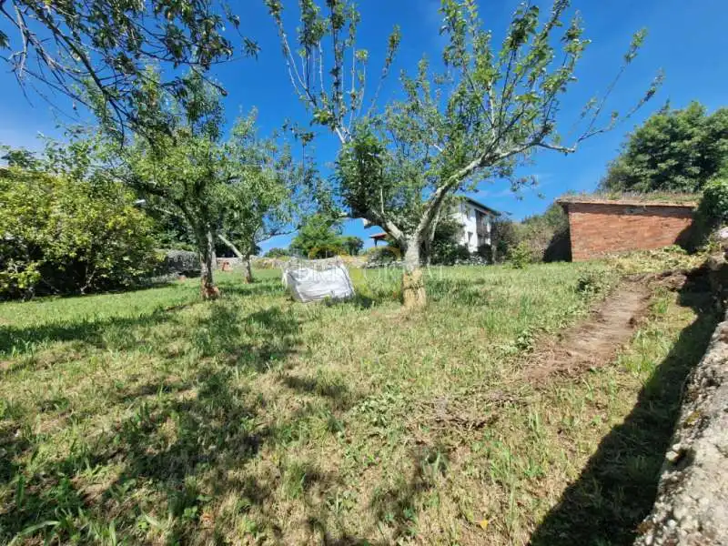 Maison à vendre à Celoriu, imagen 8