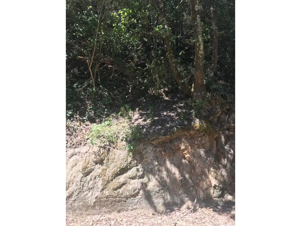 Land for sale in Vilanova del Vallès